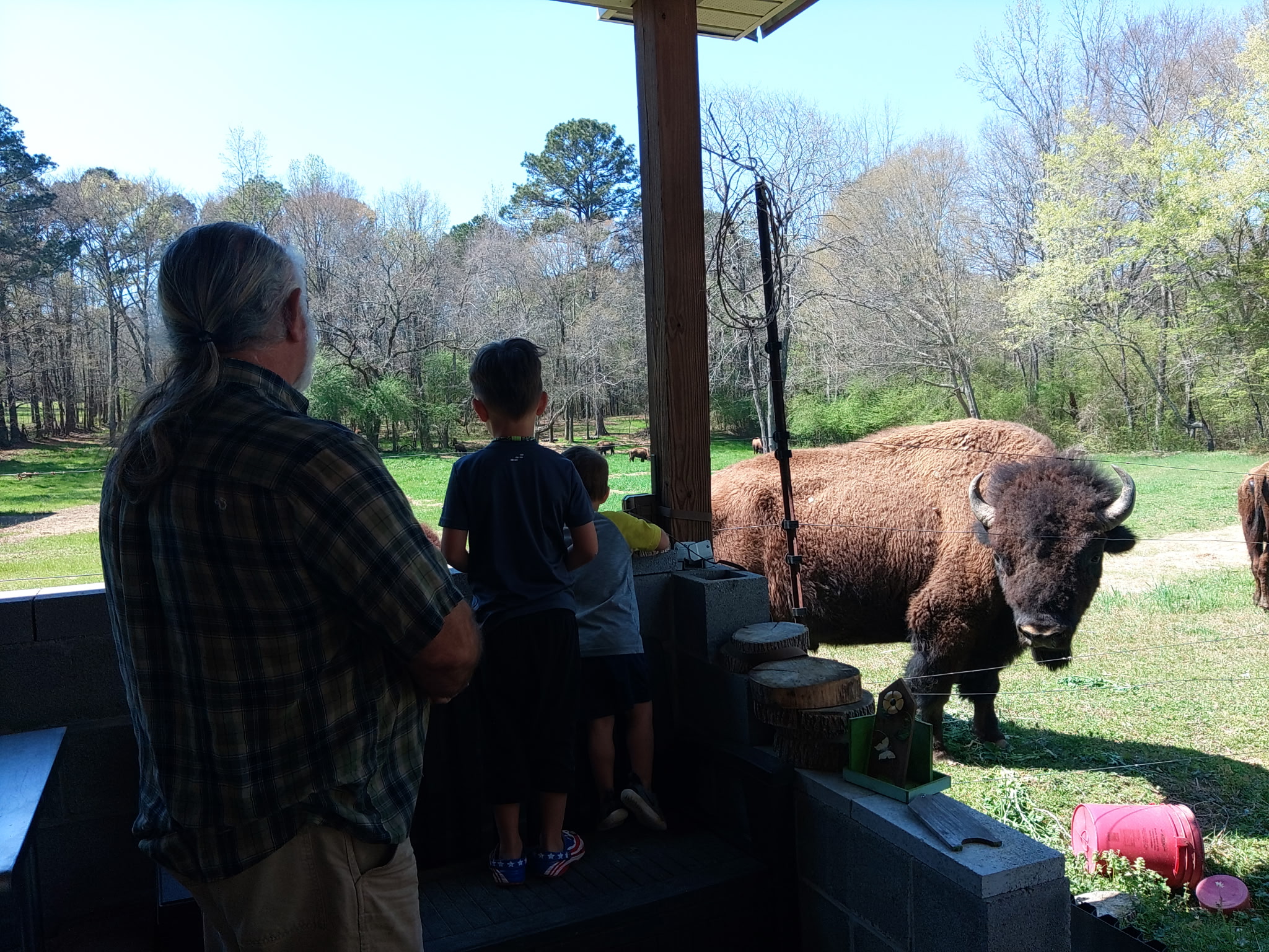 DJ White and two kids watching a large bison come right up to the viewing porch